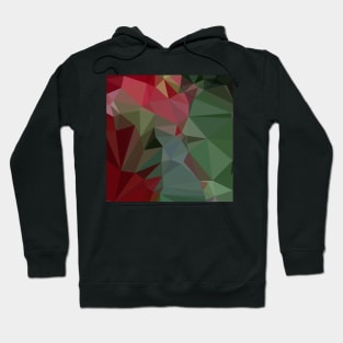 Deep Carmine Pink Abstract Low Polygon Background Hoodie